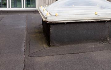 disadvantages of Dorrington flat roofs