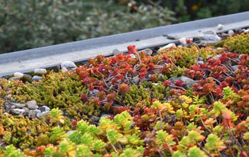 the cost of Dorrington green roof installation
