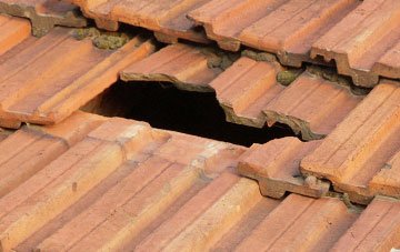 roof repair Dorrington